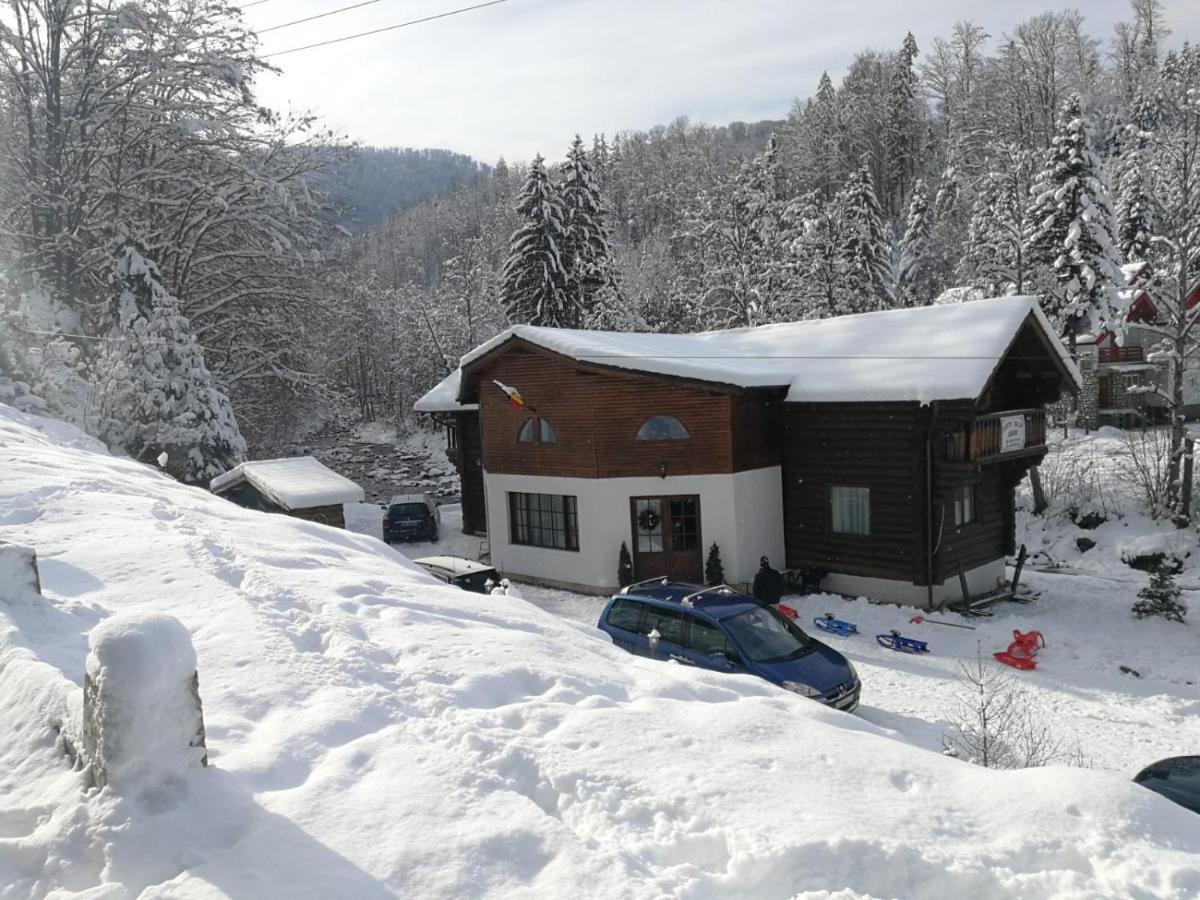 Cabana Rustic Balea Cartisoara Exterior foto