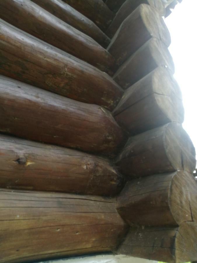 Cabana Rustic Balea Cartisoara Exterior foto