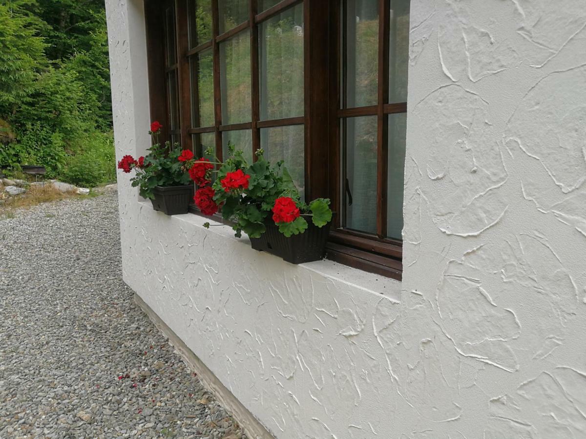 Cabana Rustic Balea Cartisoara Exterior foto