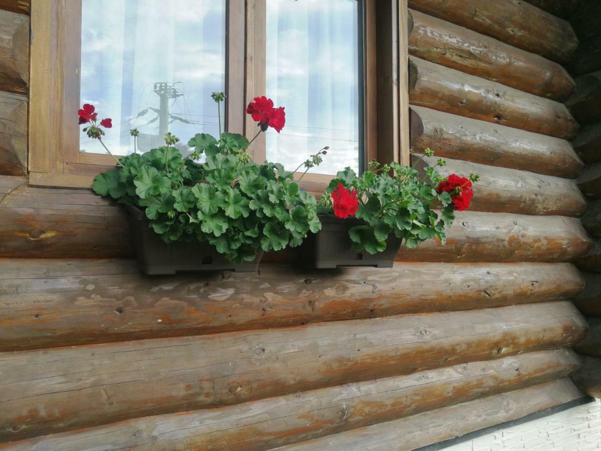 Cabana Rustic Balea Cartisoara Exterior foto